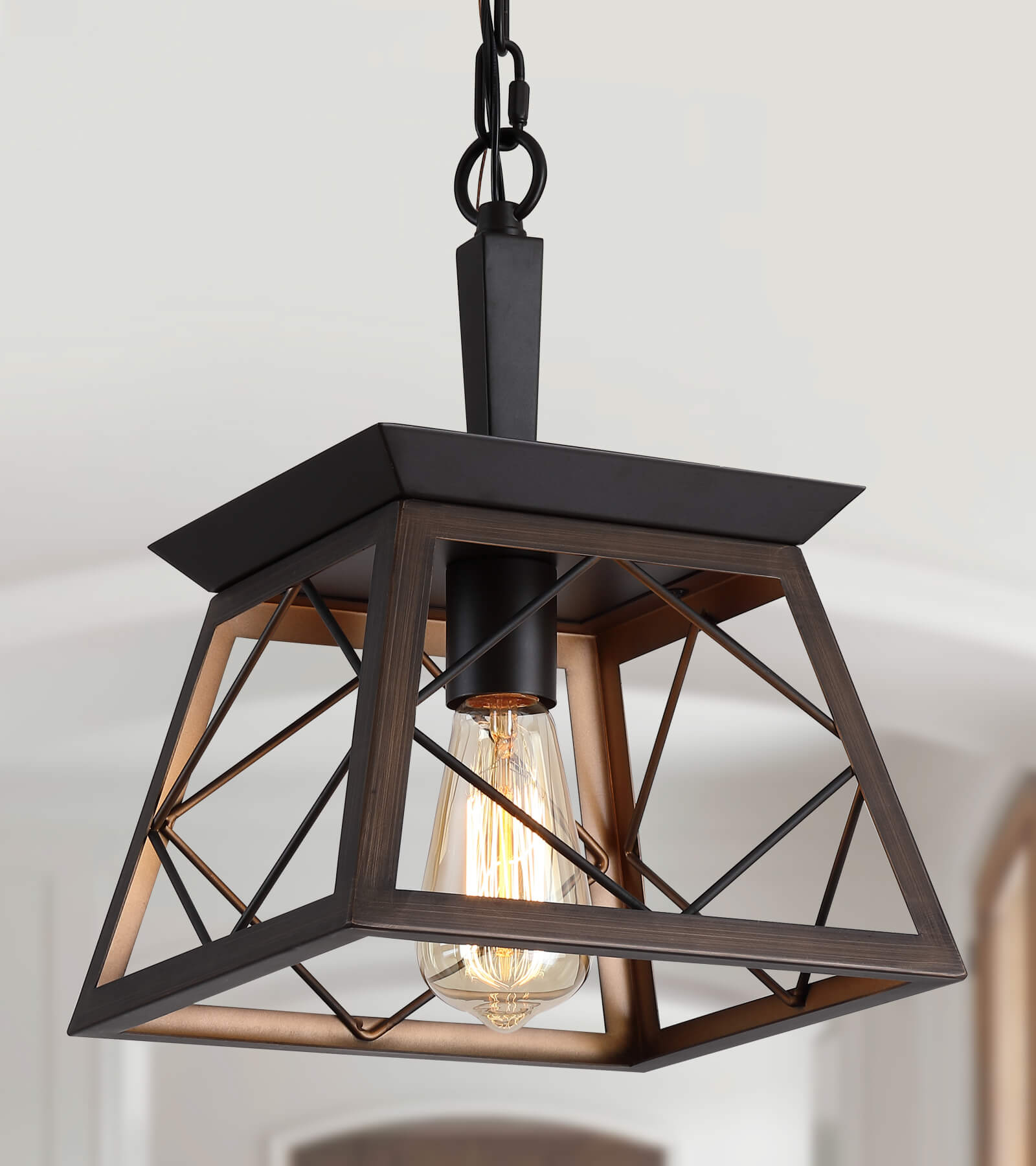 Farm deals pendant light